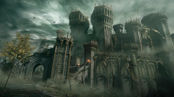 第 5 张，共 9 张