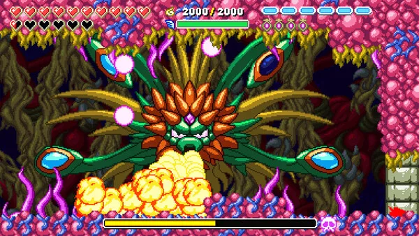 第 6 张，共 9 张